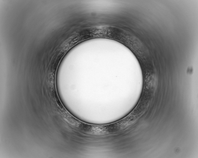 X0000093360753200711011207