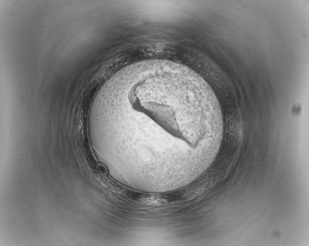 X0000093360754200711011207