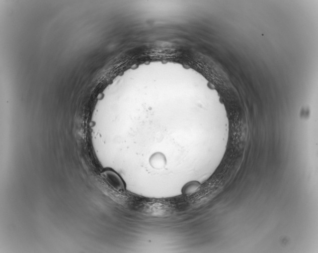 X0000093360755200711011207