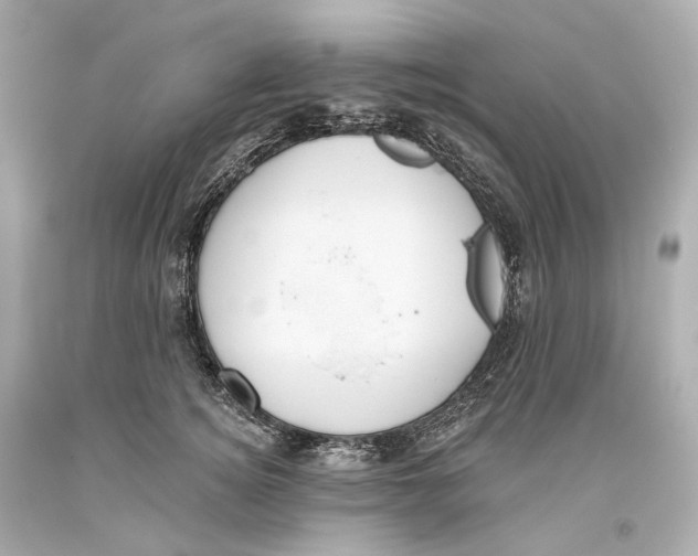 X0000093360756200711011207