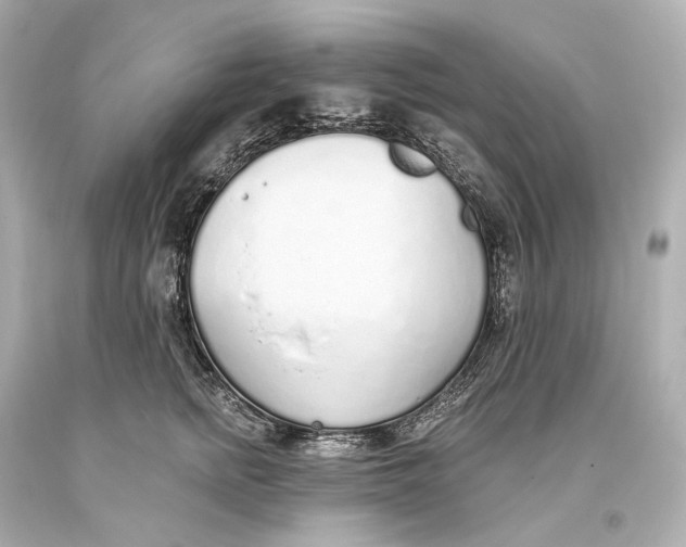 X0000093360758200711011207