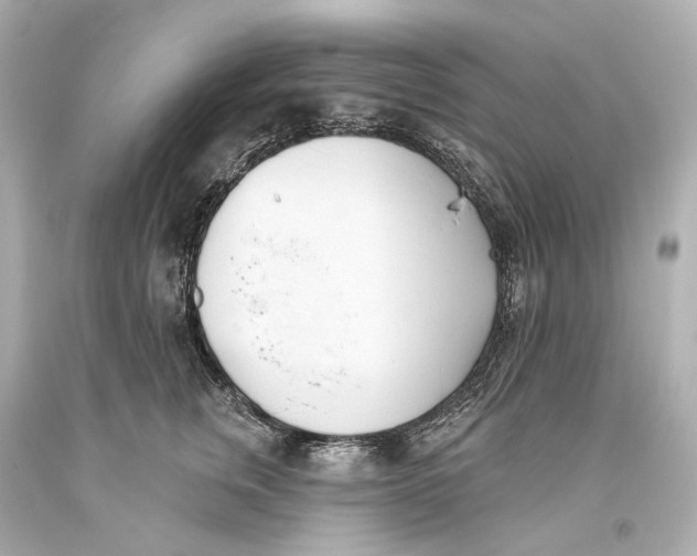 X0000093360759200711011207