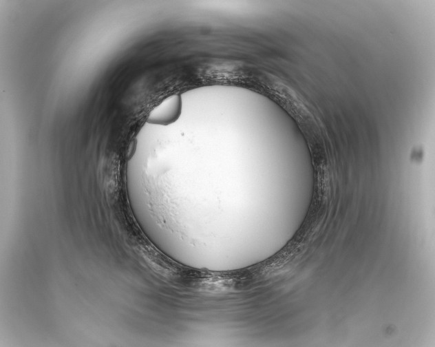 X0000093360760200711011207