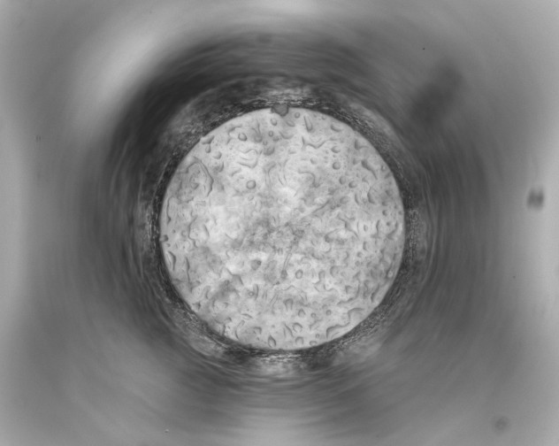 X0000093360761200711011207