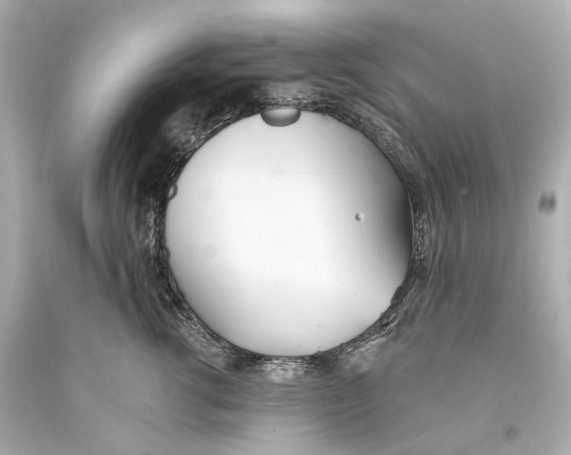 X0000093360762200711011207