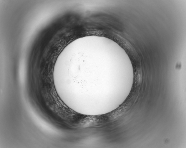 X0000093360764200711011207