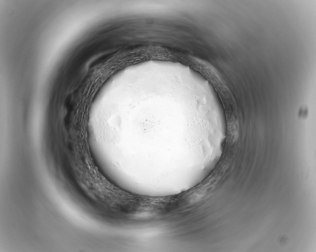 X0000093360765200711011207