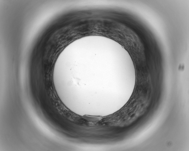 X0000093360766200711011208