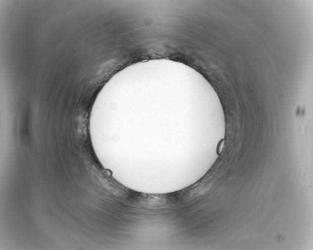 X0000093360768200711011208