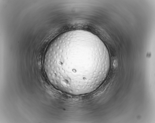 X0000093360771200711011207