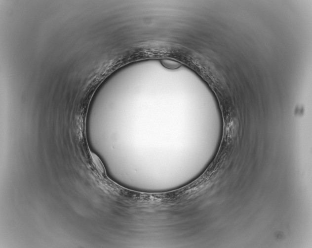 X0000093360772200711011207