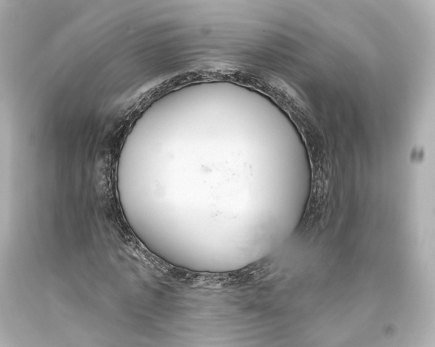 X0000093360773200711011207