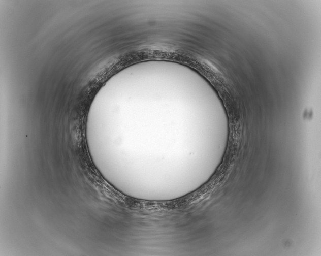 X0000093360774200711011207