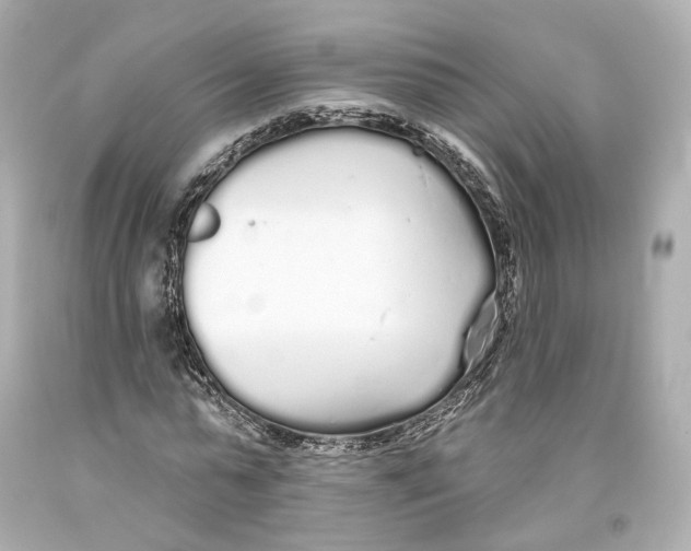 X0000093360775200711011207