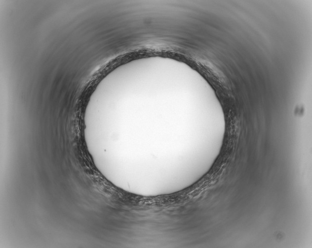 X0000093360776200711011207