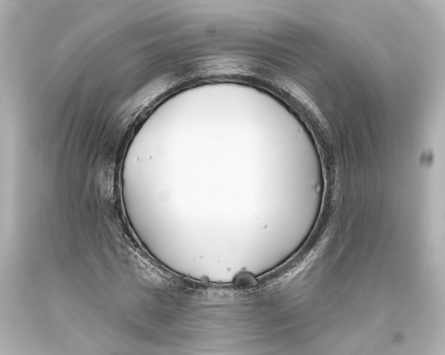 X0000093360777200711011207