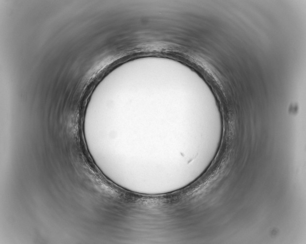 X0000093360778200711011207