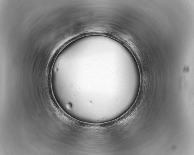 X0000093360779200711011207