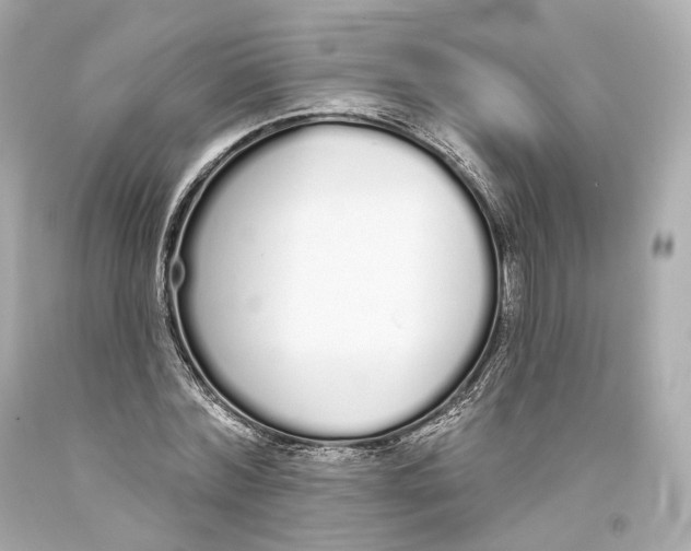 X0000093360780200711011207