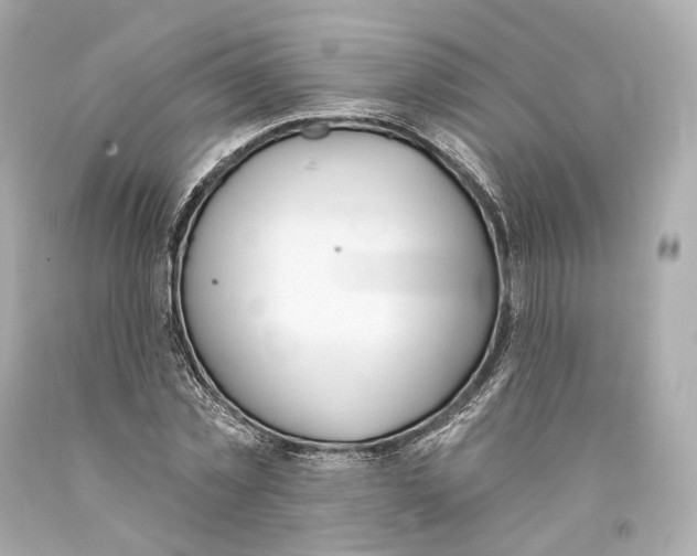 X0000093360781200711011207