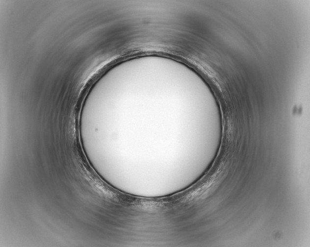 X0000093360782200711011207