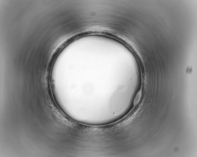 X0000093360783200711011207