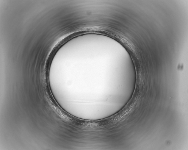 X0000093360784200711011207