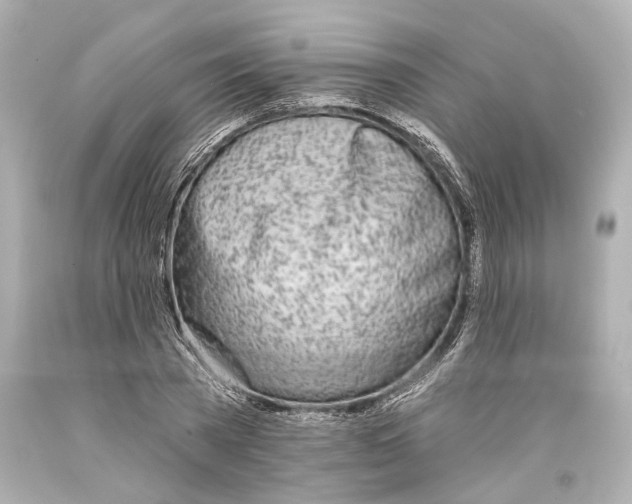 X0000093360785200711011207