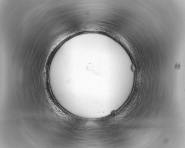 X0000093360787200711011207