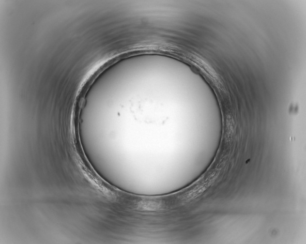 X0000093360788200711011207