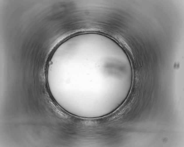 X0000093360789200711011207