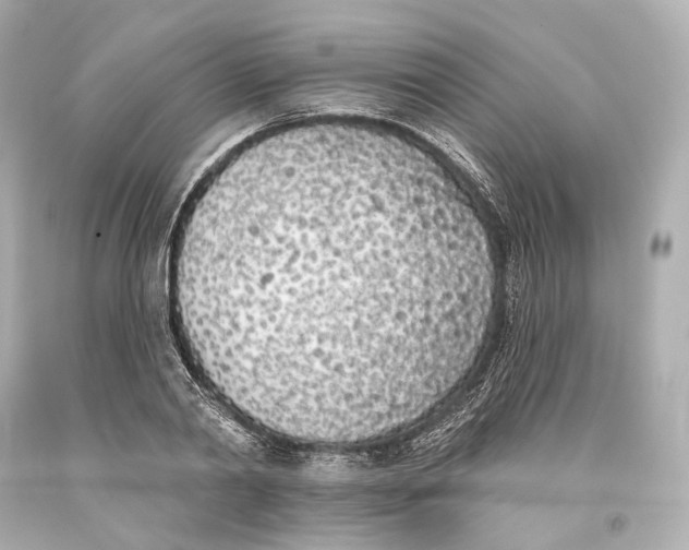 X0000093360790200711011207