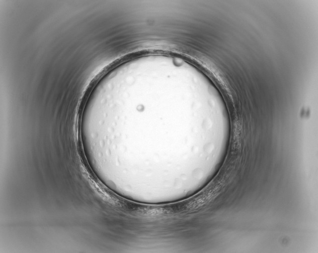 X0000093360791200711011207