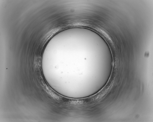 X0000093360793200711011207