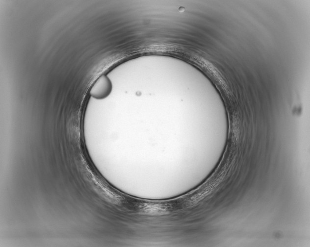 X0000093360794200711011206