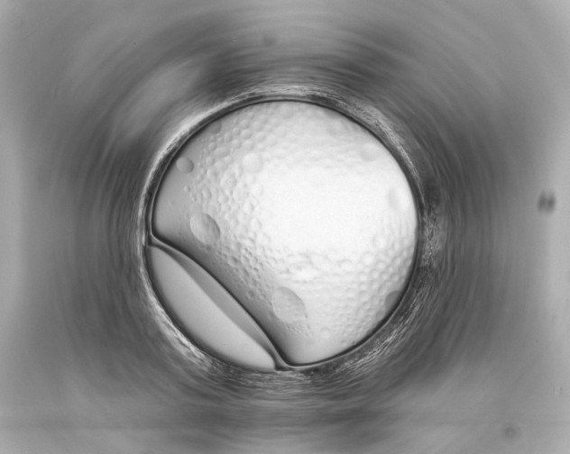 X0000093360795200711011206