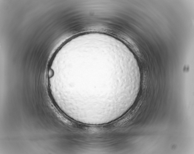 X0000093360796200711011206