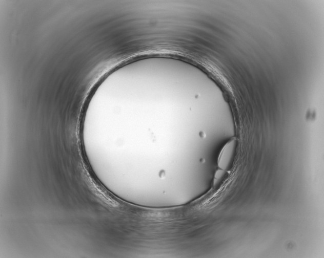 X0000093360797200711011206