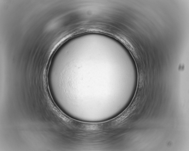 X0000093360798200711011206