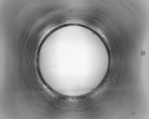 X0000093360799200711011206