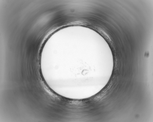 X0000093360800200711011206