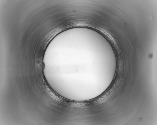 X0000093360801200711011206