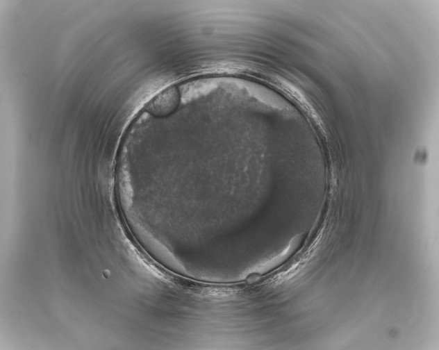 X0000093360802200711011206