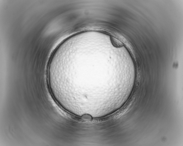 X0000093360803200711011206