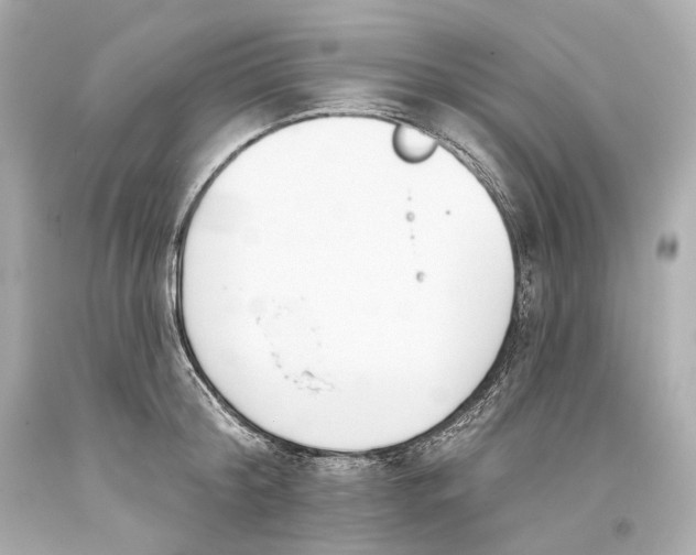 X0000093360804200711011206