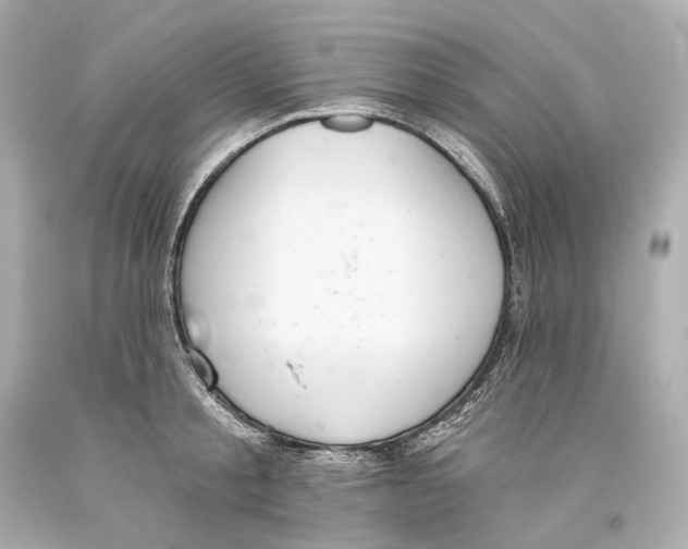 X0000093360805200711011206