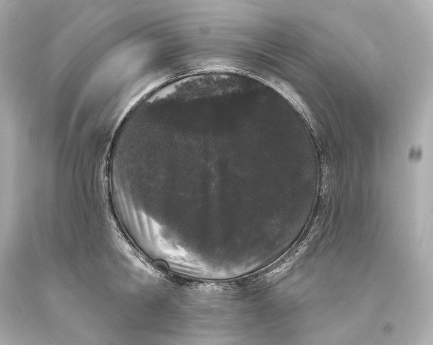 X0000093360806200711011206