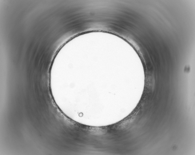 X0000093360807200711011206