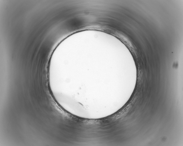 X0000093360808200711011206