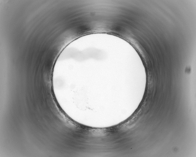 X0000093360810200711011206